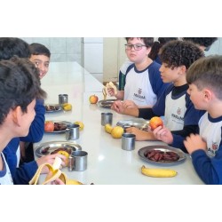 Pinhão nos cardápios da alimentação escolar da rede estadual do Paraná